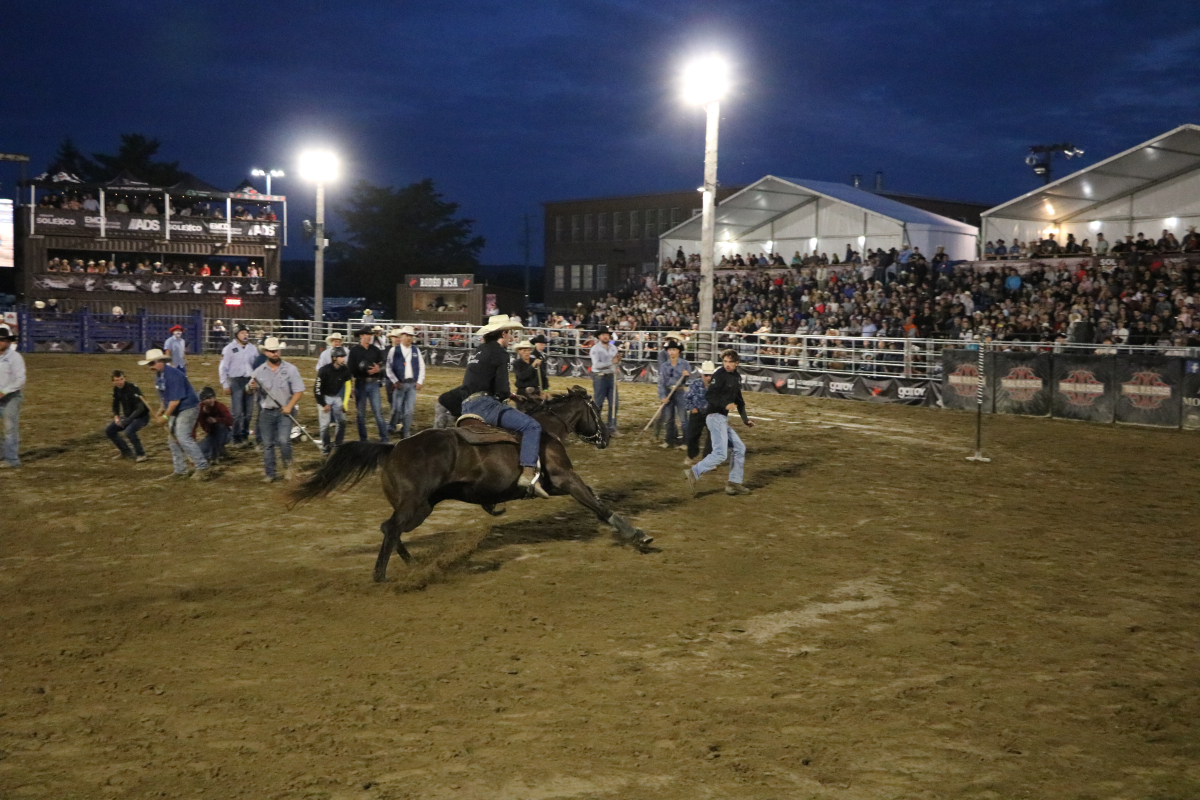 Photo Lawrence Cassista